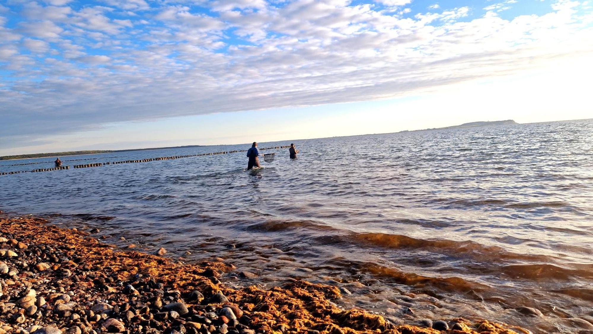 App 7O Kleinertag Am Meer Dranske Exterior photo